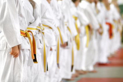 Martial Art Studio Insurance in the US by The Armstrong Company Insurance Consultants